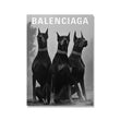 Load image into Gallery viewer, Balenciaga Art Decorfaure
