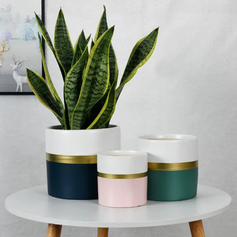 navy and gold plant pot Color-Block Flower Pot