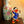 Load image into Gallery viewer, Donald Duck Figurine Decorfaure
