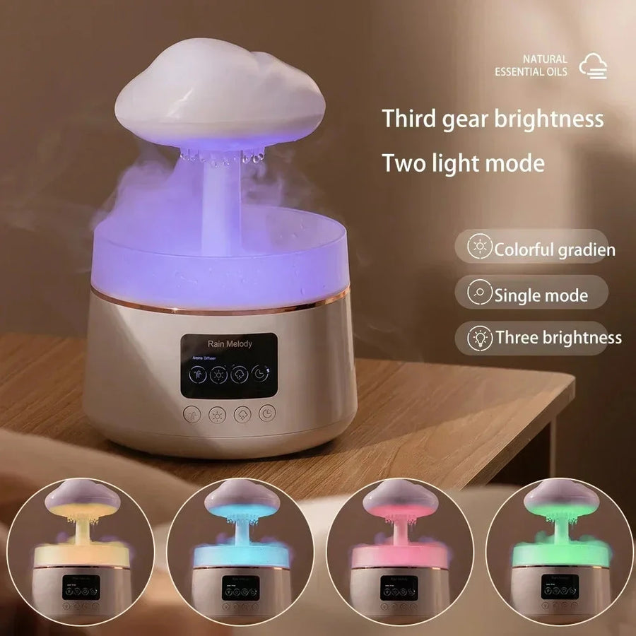 Rain Cloud Humidifier 